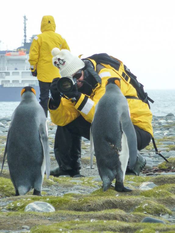 A Kim fotografa pinguins em Salisbury Plain, na Geórgia do Sul